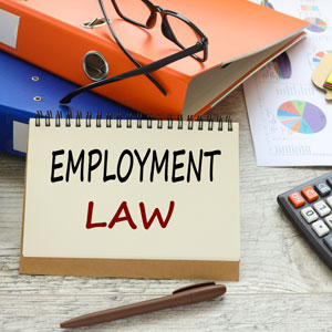 Spiral notebook with 'EMPLOYMENT LAW' written on it, next to folders, glasses, and a calculator.